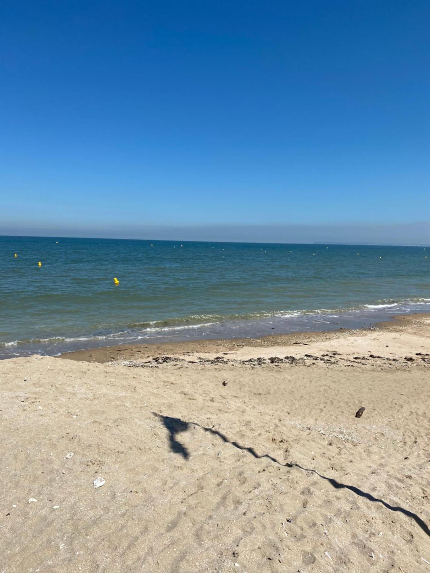 Appartement 65M2 Avec Balcon Vues Partielles Mer A 150M De La Plage Et Centre, Wifi Et Parking Prive ブロンヴィル・シュル・メール エクステリア 写真
